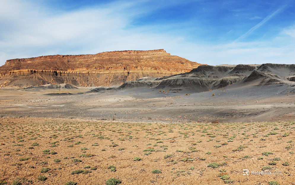 Wild Scenery texture