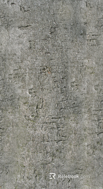 bark texture