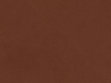 fine grain leather texture (ID:ffadf7529)