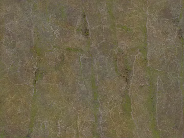Brown Green Cracked Lyme Stone Wall Stone texture (ID:ffaeh547376)