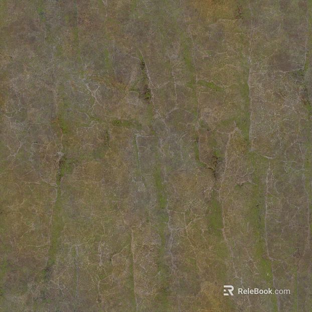 Brown Green Cracked Lyme Stone Wall Stone texture