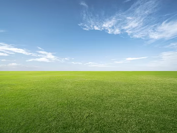 Wild Scenery texture (ID:ffach714441)