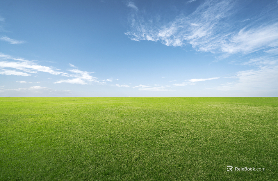 Wild Scenery texture