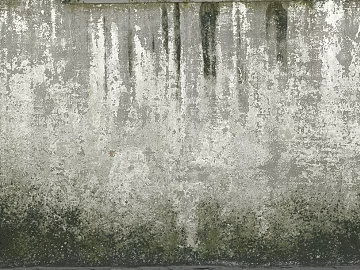 Cement white wall do old texture (ID:ffaag21449)
