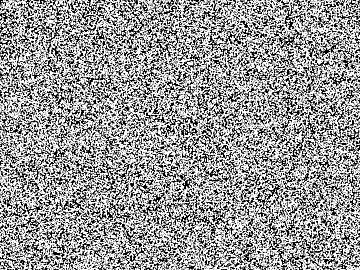 Black and White Granular Texture Bump Map texture (ID:ffaeh659832)