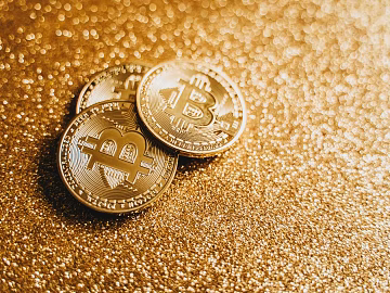 Gold Coins 3d model