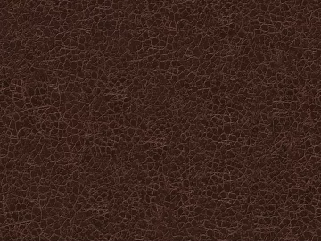 Coarse-grain leather texture (ID:ffach866091)