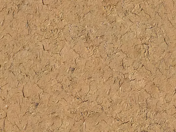 Mud texture (ID:ffaeg81619)
