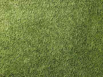 Lawn texture (ID:ffach769274)