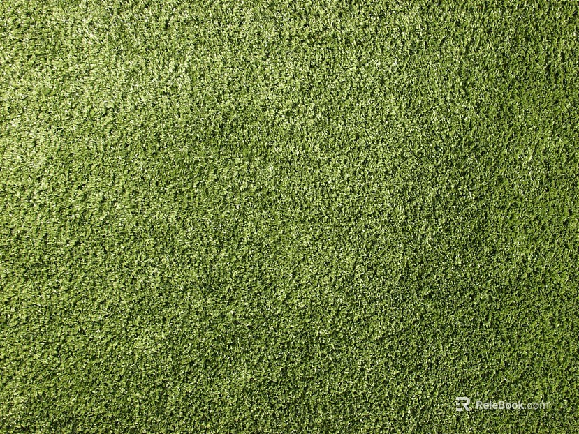 Lawn texture