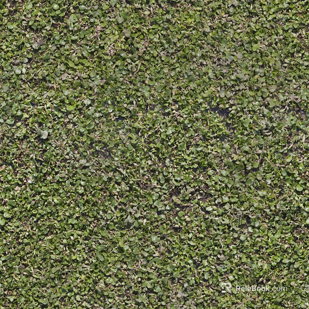 moss texture