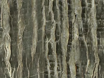 bark texture (ID:ffagg44170)