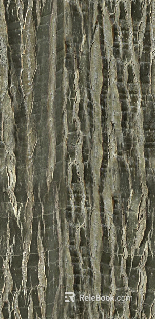bark texture