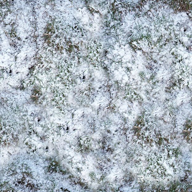 Snow and snow texture