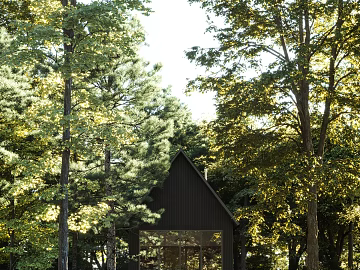 Exterior texture (ID:ffagg79366)