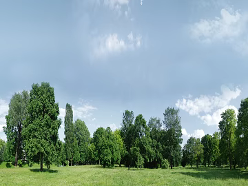 Wild Scenery 3d model