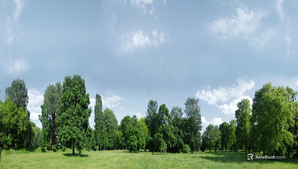 Wild Scenery texture