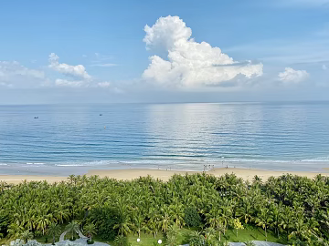 Wild Scenery texture (ID:ffajg05310)