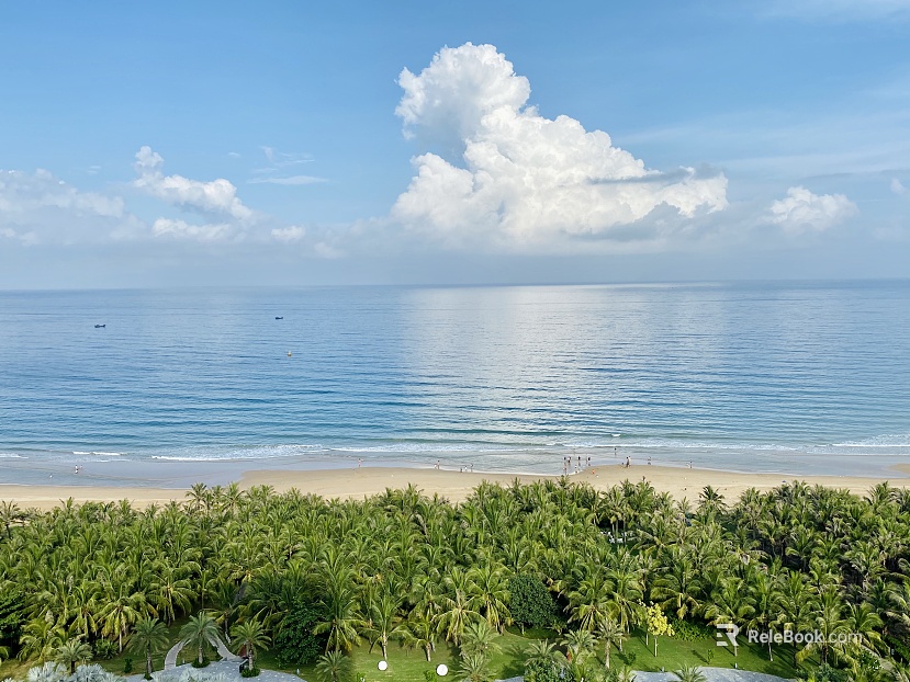 Wild Scenery texture