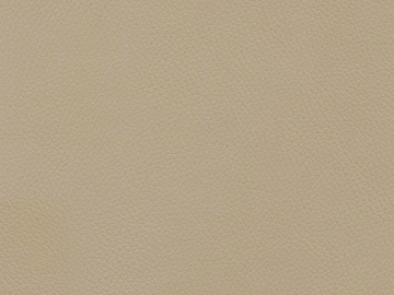 Coarse-grain leather texture (ID:ffagg64084)