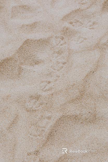 Sand texture