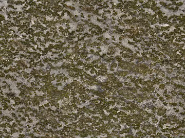 moss 3d model