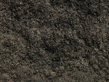 Mud 3d model