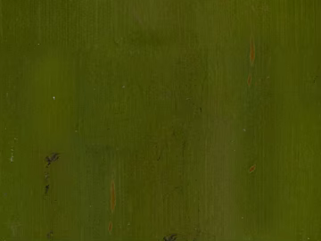Bamboo 3d model