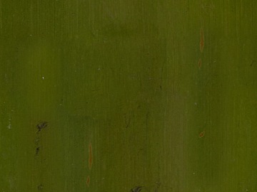 Bamboo texture (ID:ffabg95059)