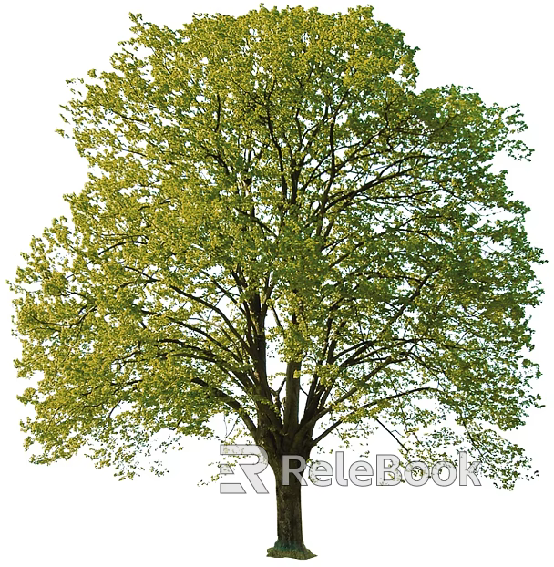 Tree texture