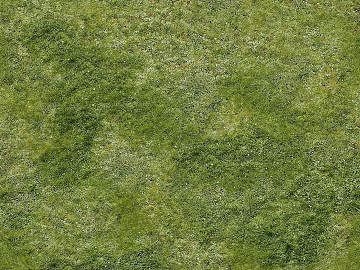 Green grass turf outdoor flooring texture (ID:ffaeh809632)