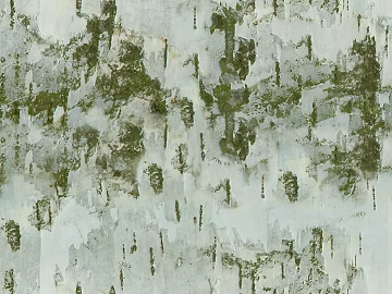 Paint wall texture (ID:ffacg17675)