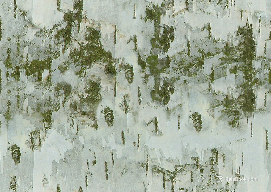 Paint wall texture