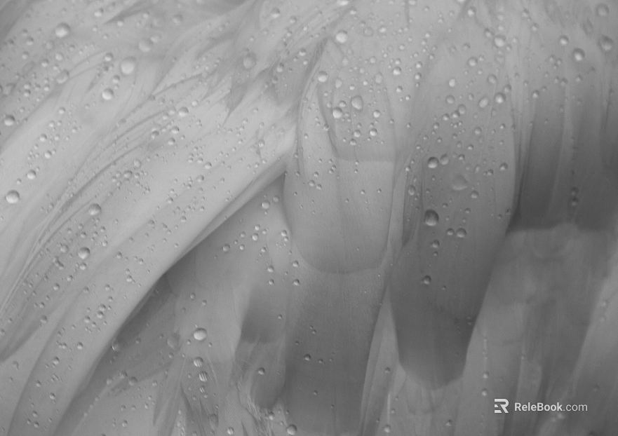 Black and White Bump texture