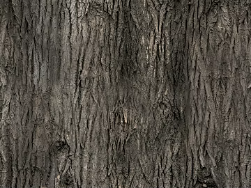 bark texture (ID:ffajg84451)