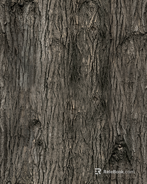 bark texture