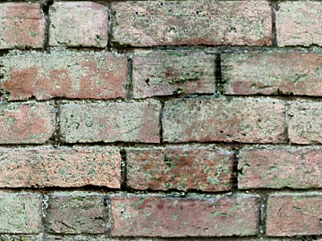 Brick wall texture (ID:ffagg19712)
