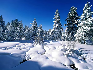 Snow texture (ID:ffabg74813)