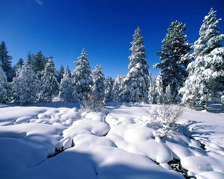 Snow texture