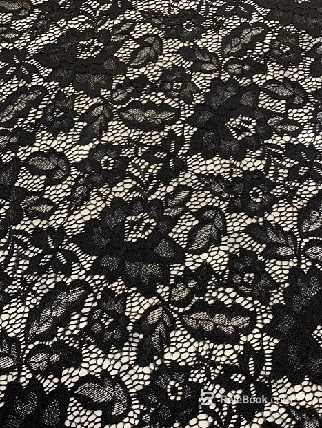 Lace Fabric Fabric Lace Cloth Pattern Lace Pattern Tile Big Figure texture