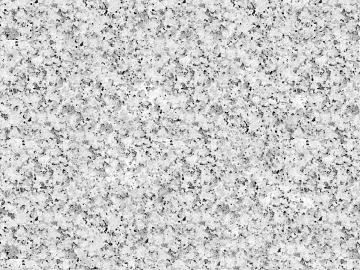 granite sesame white litchi surface granite texture (ID:ffaag48351)