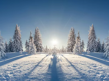 Snow 3d model