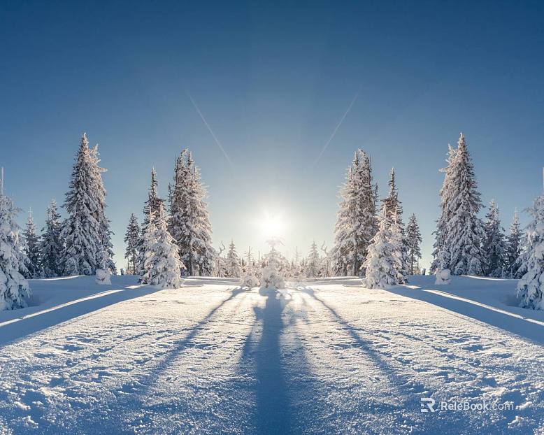 Snow texture