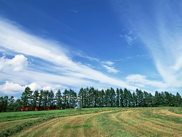 Pastoral scenery texture (ID:ffaag37391)