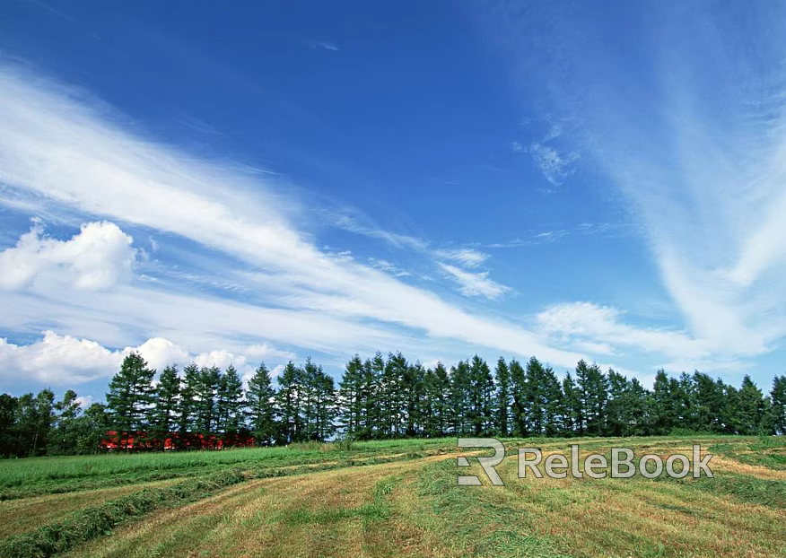 Pastoral scenery texture