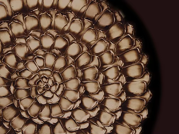 three-dimensional physical painting texture (ID:ffajg39457)