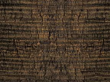 bark 3d model