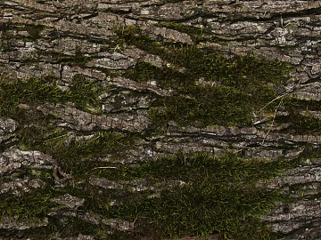 mountain rock wall texture (ID:ffabg13818)