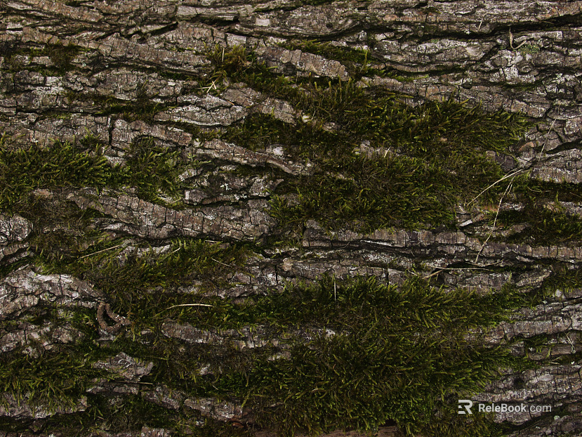 mountain rock wall texture