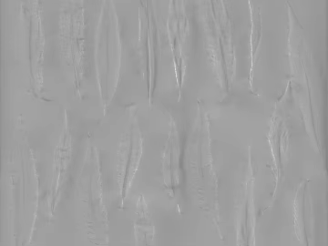 Light gray texture art paint wall (ID:ffaeh771882)